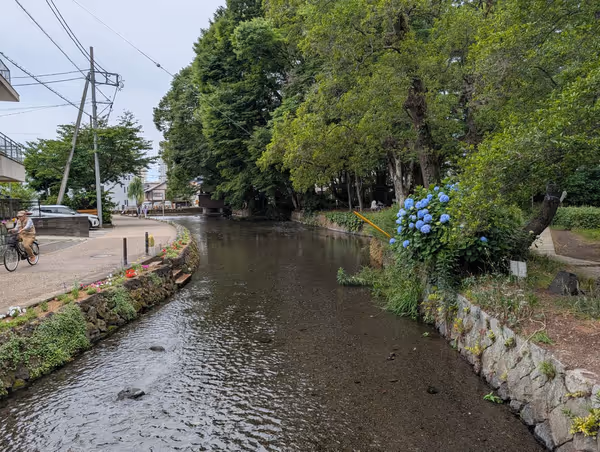 白滝公園の写真3