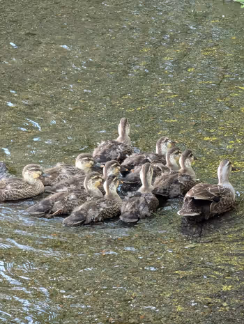 白滝公園の写真6