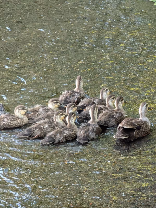 白滝公園の写真6