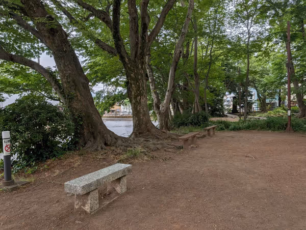 白滝公園の写真2