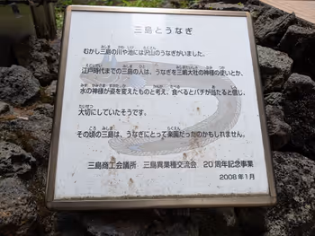 三島商工会議所 南側の写真4