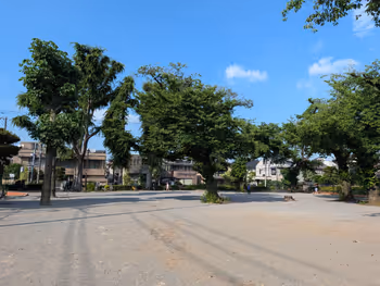 常盤台公園の写真3