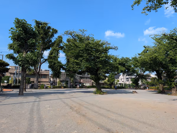 常盤台公園の写真3