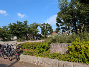 常盤台公園の写真6