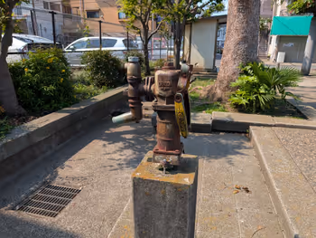 あおば公園の写真3