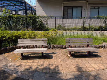 田柄川緑道の写真4