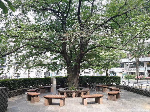 立川北口公園の写真2