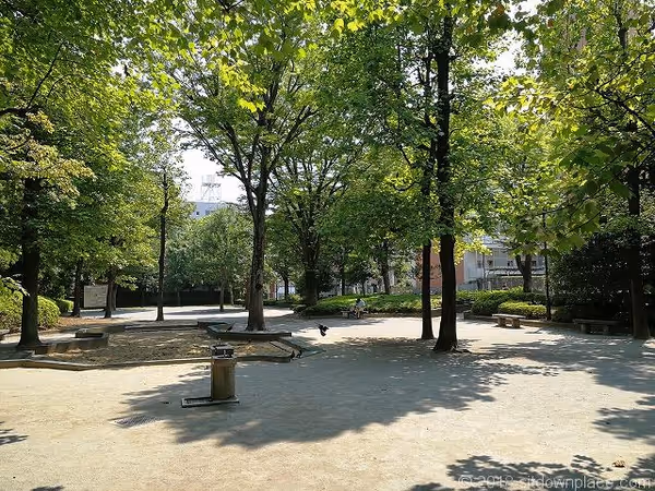 国分寺站 殿ヶ谷戸庭园 开放公园 休息处 的照片 2