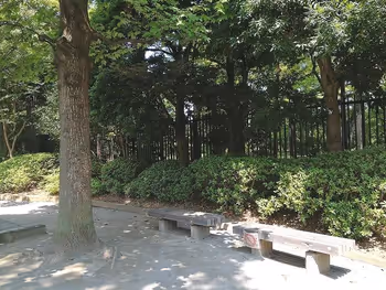 殿ヶ谷庭园开放公园的树荫下的长椅