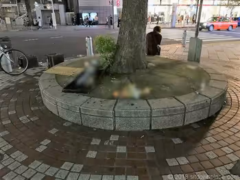 渋谷旧ドンキ前の石材ベンチ