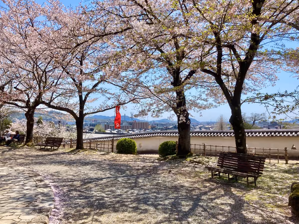 龍野城跡の写真2