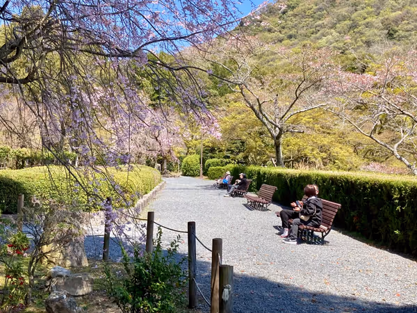 龍野公園の写真3