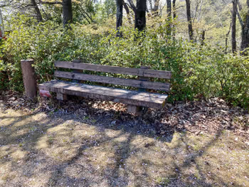 龍野公園展望台付近の写真2