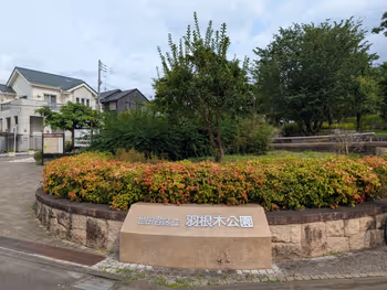 羽根木公園 北の広場の写真2