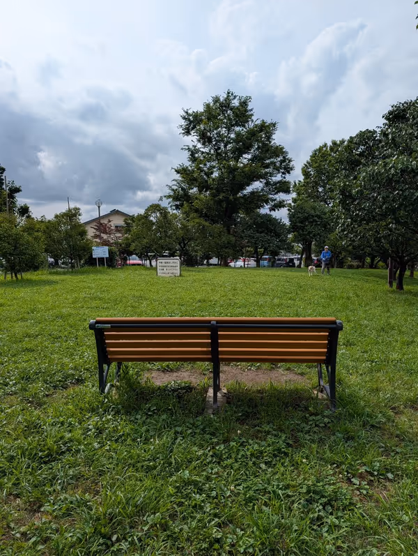 羽根木公園 北の広場の写真3