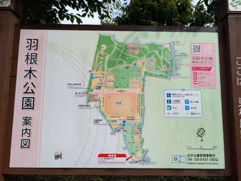 羽根木公園 北の広場の写真4