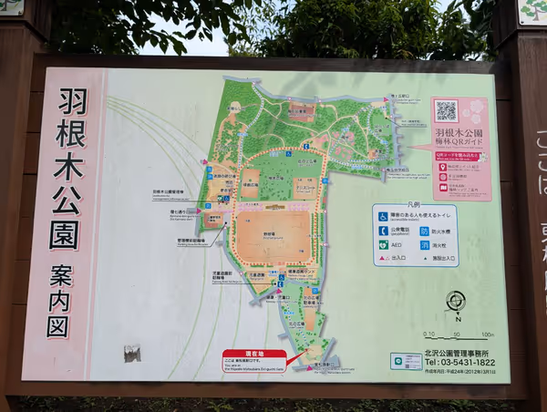 羽根木公園 北の広場の写真4