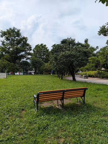 羽根木公園 北の広場の写真1
