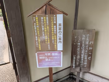 羽根木公園 丘の上・樹木広場の写真7