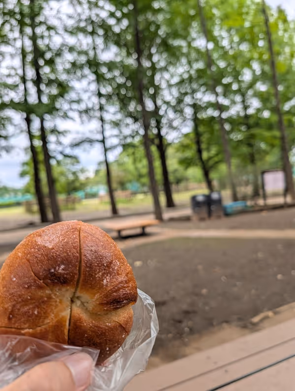 羽根木公園 丘の上・樹木広場の写真4