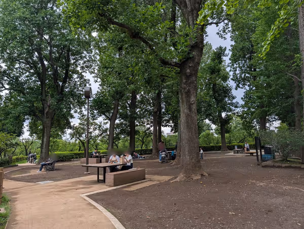 羽根木公園 丘の上・樹木広場の写真3