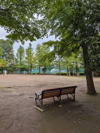 羽根木公園 丘の上・樹木広場の写真8