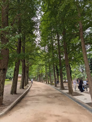 羽根木公園 丘の上・樹木広場の写真2