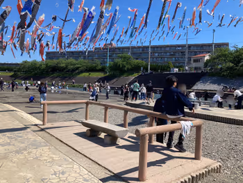 芥川桜堤公園の写真1