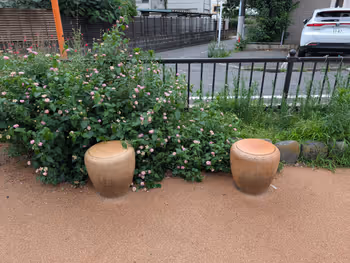 玉川上水緑道 笹塚側の写真1