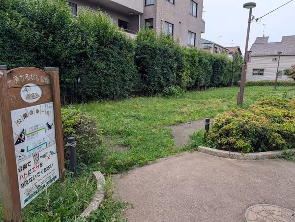 大原かるがも公園の写真4
