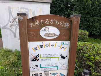 大原かるがも公園の写真3
