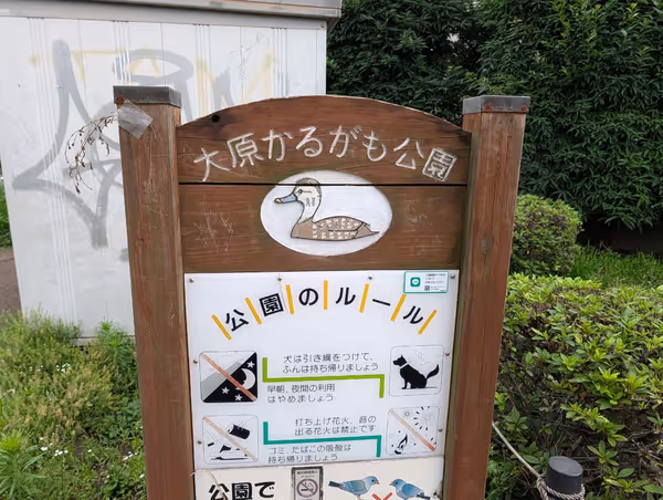 大原かるがも公園の写真3