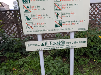 玉川上水緑道 ゆずり橋〜大原橋間の写真5