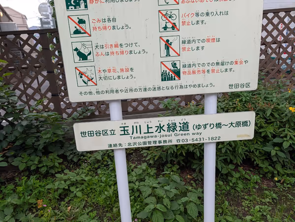 玉川上水緑道 ゆずり橋〜大原橋間の写真5