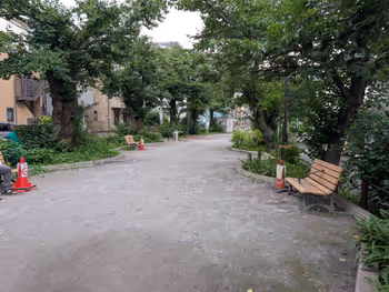 玉川上水緑道 ゆずり橋〜大原橋間の写真1