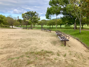 シロトピア記念公園付近の写真2