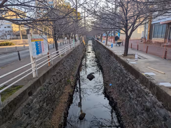 池町川 東町公園付近の写真3