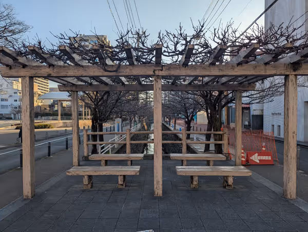 池町川 東町公園付近の写真1