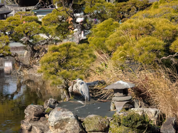 三柱神社境内の写真3