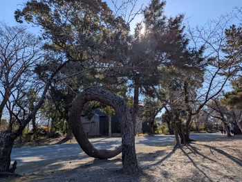 三柱神社境内の写真8