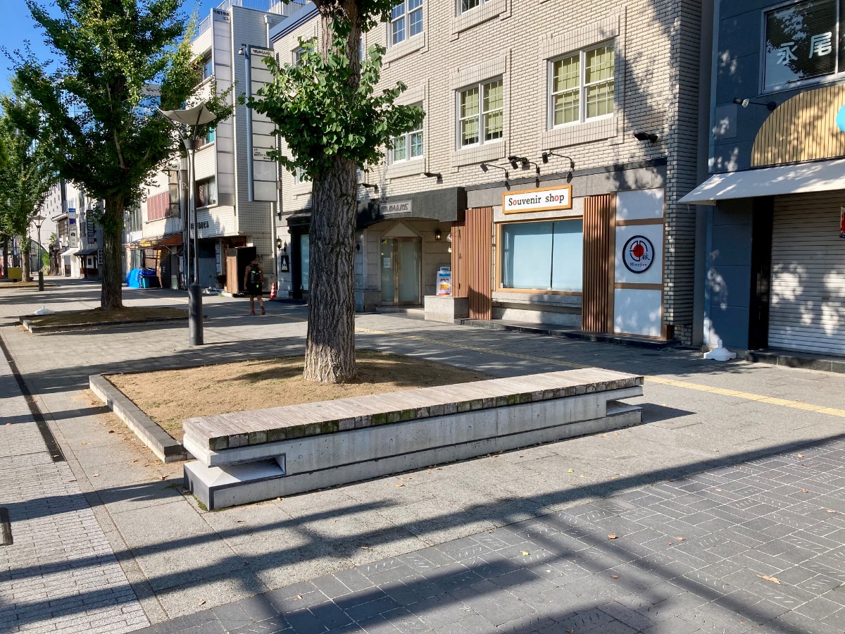 大手前公園西交差点付近（西側）の写真1