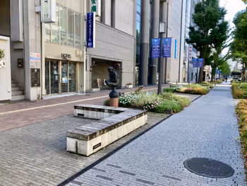 大手前通り沿い(東側)姫路信用金庫 駅前支店斜め前の写真1