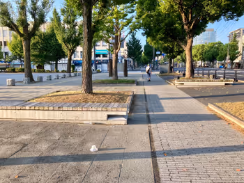 【山陽姫路駅】大手前公園 西側の歩道