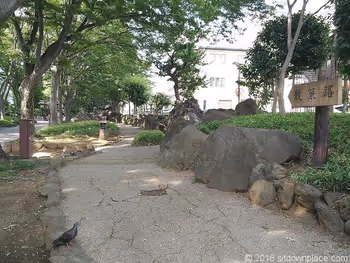 Walking paths on the Hikawa Shrine approach