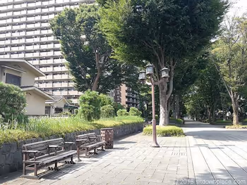 Benches near Heisei Hiroba on the Hikawa Shrine approach