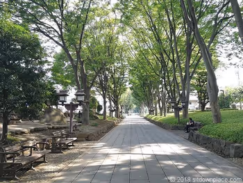 Scenery of the Hikawa Shrine approach
