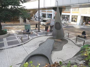 Water Bird Seen from the Deck