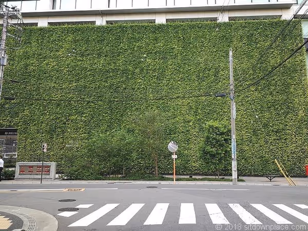 大宮JPビル前の写真1