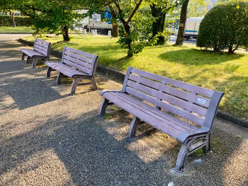 広島城 西側お堀端(基町小学校前交差点付近)の写真2