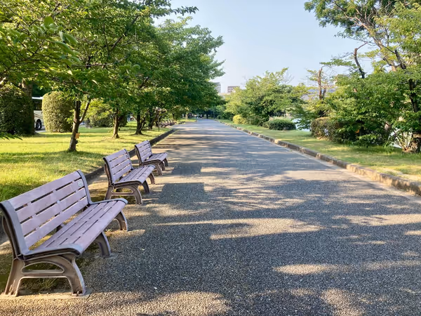 広島城 西側お堀端(基町小学校前交差点付近)の写真3
